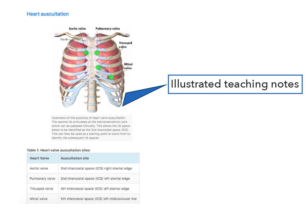 illustrated teaching notes